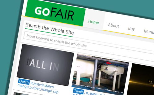 做oem出口的外貿企業,google plus g 你肯定忘記做了吧